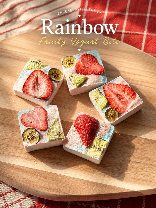Rainbow Fruity Yogurt Bites